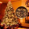 Ulinek Luci Natale Esterno 1000LED 100M Stringa Luci Natalizie Bianco Caldo