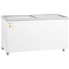 Royal Catering RCFGDF-450 congelatore 450 L porte in vetro bloccabili congelatore congelatore congelatore grande