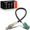 Frankberg Sonda lambda Sonda diagnostica Compatibile con FX 350 Z R.o.a.d.s.t.e.r Z33 Primera P12 350 Z Coupé Z33 Primera Hatchback P12 Replace# 250-24448