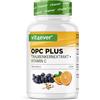 vit4ever Estratto di semi d'uva OPC + vitamina C naturale - 365 capsule | Massimo contenuto di OPC secondo HPLC - da uva - Scorte per 12 mesi - Vegan