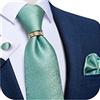 DiBanGu Cravatte di seta da uomo e anello dorato in tessuto tascabile quadrato gemelli con confezione regalo Paisley Stripe solido cravatta formale matrimonio, Verde menta tinta unita, Taglia unica