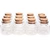Danmu Art 20 pezzi 10 ml mini bottigliette in vetro con tappo in sughero legno