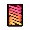 Apple - iPad Mini Wi-fi + Cellular 256gb-galassia
