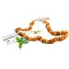 PetLove Collana in Ambra per Cani e Gatti - 100% Ambra Baltica - Collare Antiparassitario - Lunghezza: 25 cm