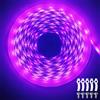 ShineBurky Striscia LED 5 Metri Rosa Viola, Striscia LED Dimmerabile, 12V Striscia Luminosa LED Flessibile, per Soffitti, Scale, Armadi, Camere da Letto, Vetrinette (Adattatori non Inclusi)