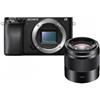 Sony Alpha 6100 + SEL 50mm f/1.8 OSS