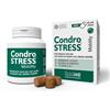 INNOVET ITALIA Srl Condrostress mobility 60 soft chews - CONDROGEN - 989362621
