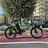 Bici elettrica Folding Bike PROCHYTA V1.4 250W 36V