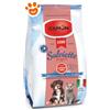 Camon Dog & Cat Salviette Clorexidina e Mirra - Confezione Da 100 Salviette