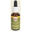 BUSH BIOTHERAPIES PTY LTD Bush Flower Essences Fiori Australiani Ottimismo Gocce 30 Ml