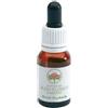 BUSH BIOTHERAPIES PTY LTD Bush Flower Essences Fiori Australiani Bush Fuchsia Gocce 15 Ml