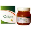 BIOEFFE SRL Bioeffe Coligen S 14 Bustine Da 10 Ml