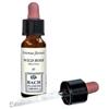 ERBA VITA ESSENZA FLOREALE Wild Rose Original Gocce 10 Ml Omeopatia