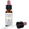 ERBA VITA ESSENZA FLOREALE Larch Original Gocce 10 Ml