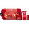 Apivita Promo Xmas Beevine Rich + Mini Serum + Night