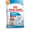 Royal Canin Dog Medium Puppy - Sacco Da 3 Kg