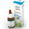 GUNA SpA Centaury Gocce 10ml - Medicinale Omeopatico Senza Glutine per Generosità e Assertività