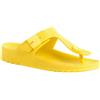 Scholl BAHIA FLIP-FLOP EVA W LEMON 40