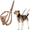 Company of Animals Pettorina anti-trazione HALTI - Per impedire al cane di tirare il guinzaglio, regolabile, leggera e semplice da utilizzare. Pettorina da addestramento per cani piccoli (Taglia XS, Sabbia del Deserto)