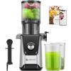 AMZCHEF 200W Estrattore con 108MM Scivolo di Alimentazione Largo Per Frutta e Verdura Intera - Anti Goccia Estrattore Frutta e Verdura Lento con Funzione Inversa e Filtro a Doppio Lato