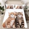 Loussiesd Set di lenzuola con angoli e federe per gatti, set di biancheria da letto per gatti e gatti, set di lenzuola per bambini, adulti, 3D, senza lenzuolo ultra morbido, per amanti dei gatti, taglia singola