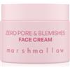 Nacomi Zero Pore & Blemishes 40 ml