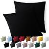 Blumtal Federe Cuscini Divano 40 x 40 cm - Set di Copricuscini per Divani in Microfibra a 2 Pezzi con Chiusura a Zip, certificati Oeko-Tex, extra morbidi e lavabili - Nero