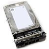 DELL W6Y7N 3.5 8 TB SAS (8TB 7.2K SED NLSAS 12GBPS 3.5IN - HOT-PLUG HARD DRIVE KIT) [400-AMRW]