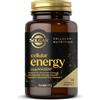SOLGAR IT. MULTINUTRIENT SpA CELLULAR ENERGY 14CPS VEGETALI