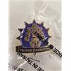 MAGIC Mage Knight - Burning Sales: Vizorr Champion Pin