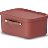 Rotho Maloja Scatola di stoccaggio 12 l, Plastica (PP riciclato), 12 (39.5 x 26.5 x 17.7 cm)