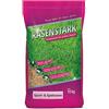 RASENSTARK Semi da prato per sport e giochi, robusti, 10 kg, per 250 m², ideali per nuovi impianti o semina, germinazione rapida + semi di erba fissi