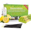 Luxflair 10 confezioni di incenso Citronella anti zanzare, tempo di combustione circa 60 ore (totale). XL magazzino come alternativa alla citronella di candela o di tè luci per esterni/giardinaggio