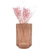 Point-Virgule Vaso in vetro, decorazione per la casa dal design elegante, moka, 10,5 x 17,5 cm