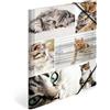 HERMA 19212 - Cartellina portadocumenti formato DIN A4, motivo: gatti, in cartone resistente, con stampa interna completa, elastici, per bambini e bambine