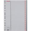 Esselte Rubrica con Tasti 1-31, Formato A4, Formato Extra Largo, Grigio, Divisori in Polipropilene Robusto con Pagina Indice, 100108