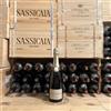 Louis Roederer Champagne Louis Roederer Collection 244