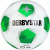 Derbystar Apus TT DB v25