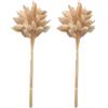 Dbvnnsy 50 pezzi di coniglietti code coniglietti fiori artificiali secchi naturali, bouquet pampas pianta decorazione di fiori secchi fiori secchi bouquet per decorazioni per torte decorazioni per la ca