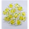 ITDSTORE CASA DEL DOLCE - 50 LECCA LECCA SFUSI MAGIC LOLLIES PIATTO ALLA FRUTTA - IN BUSTA ALIMENTARE (Limone)