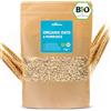 RheinNatur Bio Haferflocken 1 kg
