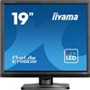 IIYAMA Monitor IIYAMA ProLite E1980S-B1 19" Nero SXGA TN HDMI DP