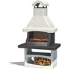 SAROM Barbecue Salamanca in Cemento con Cappa e parafiamma in Acciaio INOX - legna e carbonella