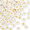 SUNNYCLUE 1 Scatola da 150 Pezzi di Perline di Vetro A Forma di Margherita Perline di Fiori Lavorate A Lume Fatte A Mano Piatte A Molla Bianche A Forma di Margherite Piccoli Distanziatori di CR