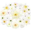 MOTONG 30 PCS Fiori Finti per Decorazioni Fiori per Torte Fiorellini Finti per Decorazioni Testa di Fiore Finta per Bomboniere Cimitero Rose Finte Margherite Ghirlanda Decorazioni Primavera Bianco