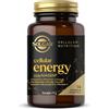 SOLGAR IT. MULTINUTRIENT SpA CELLULAR ENERGY 14CPS VEGETALI