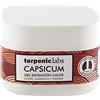 Terpenic evopro Capsicum gel lenitivo azione termica 500ml. 1 Unità 300 g