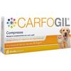 Shedir Pharma Carfogil Multivitaminico Compresse per cani e gatti 30 Compresse (scadenza: 30/09/2026) - Integratori per cani - 1° ORDINE? 20% di sconto, codice BZR20