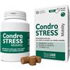INNOVET ITALIA Srl CONDROSTRESS + 90CPR MASTIC