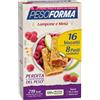 NUTRITION & SANTE' ITALIA SpA Pesoforma biscotti lampone e mela 16 biscotti x 33g 8 pasti sostitutivi - Pesoforma - 943285268